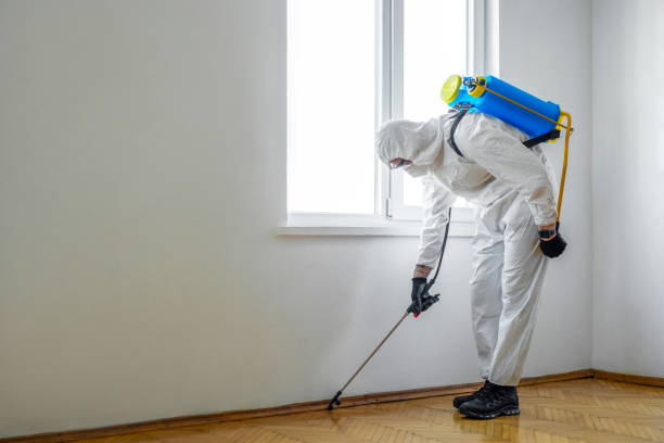 Best Residential Pest Control  in La Villa, TX